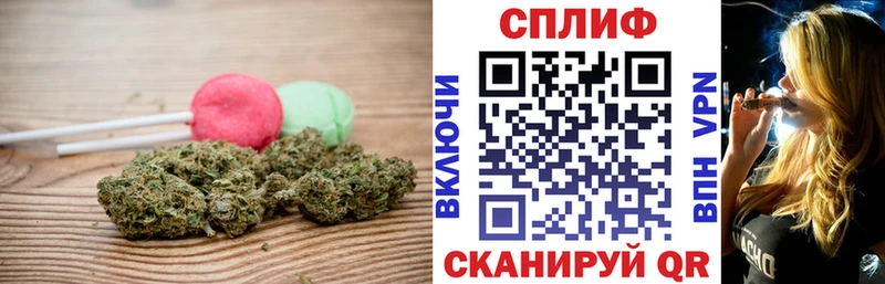 купить наркотики цена  Краснодар  ОМГ ОМГ ссылки  Canna-Cookies конопля 