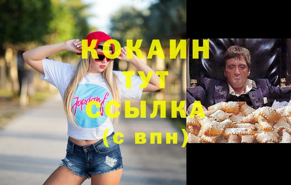 спиды Михайлов