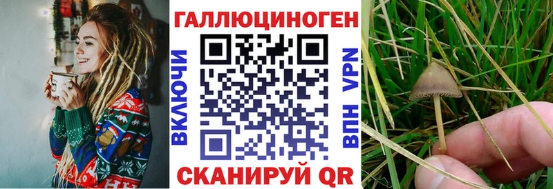 Псилоцибиновые грибы MAGIC MUSHROOMS  сколько стоит  Краснодар 