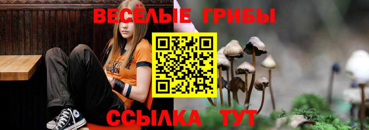 Россия  Псилоцибиновые грибы Magic Shrooms  Вход с VPN 